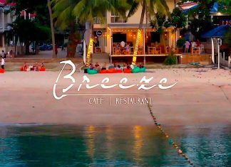 thefunkyturtle.com breeze cafe and restaurant koh tao