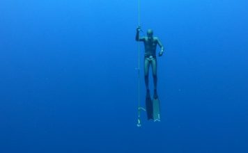 thefunkyturtle.com freediving koh tao