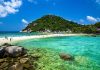 thefunkyturtle.com-half-day-snorkel-trips-koh-tao