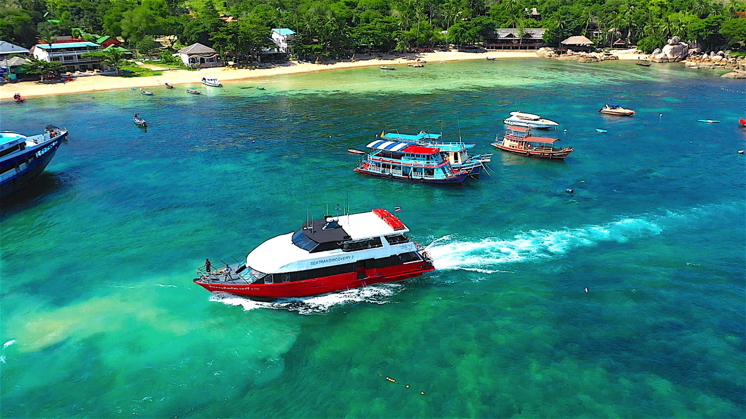 www.thefunkyturtle.com seatran discovery koh tao