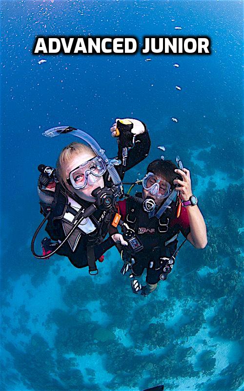 thefunkyturtle.com advanced junior open water course koh tao