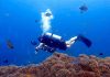 Advanced Diving Courses Koh Tao