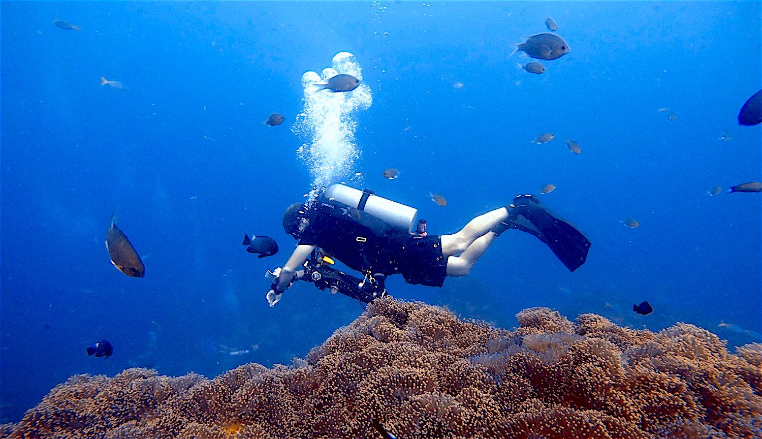 www.thefunkyturtle.com advanced open water diver course on koh tao