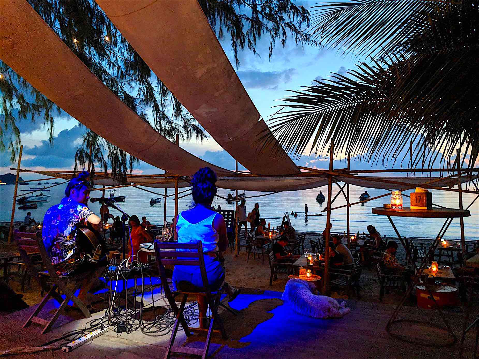 www.thefunkyturtle.com blue water restaurant koh tao live music