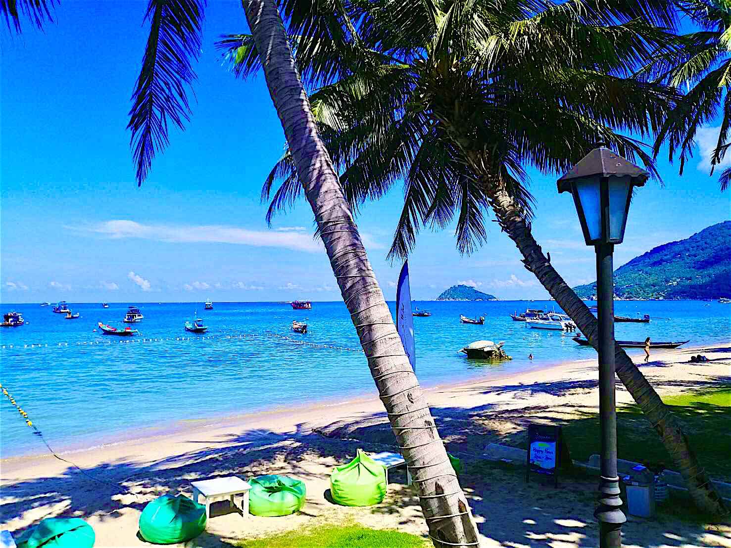 www.thefunkyturtle.com breeze restaurant koh tao beach location