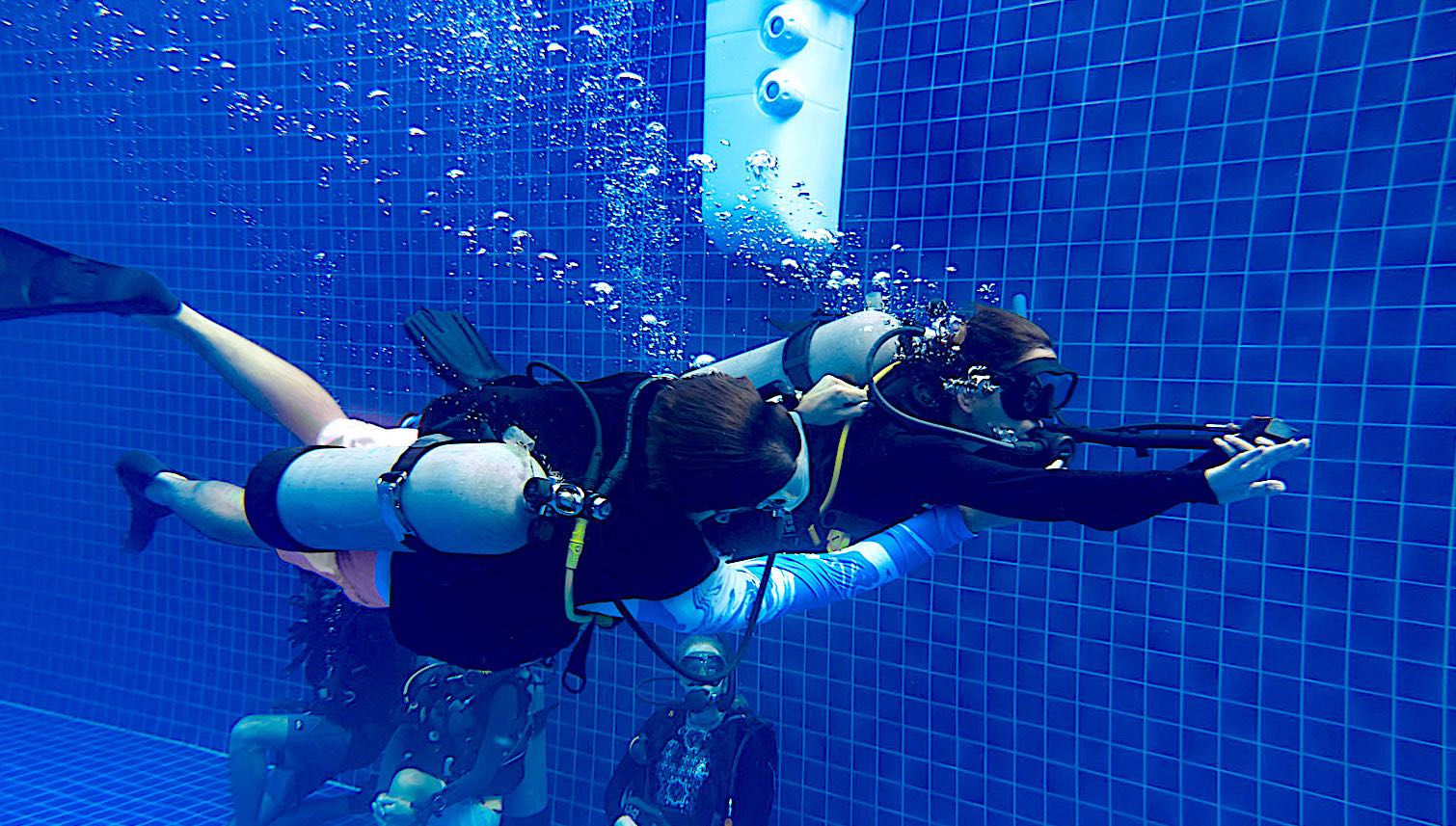 www.thefunkyturtle.com divemaster course on koh tao