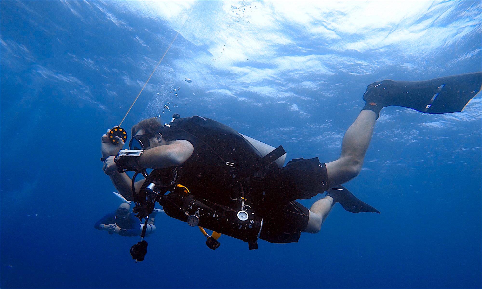 www.thefunkyturtle.com diving instructor course koh tao