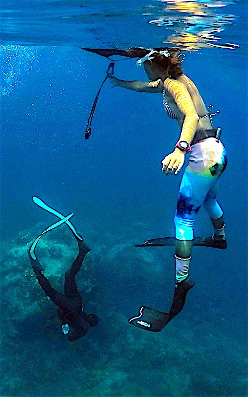 thefunkyturtle.com-freediving-courses-koh-tao