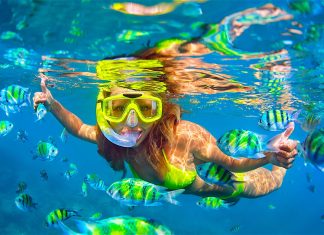 Snorkeling Koh Tao