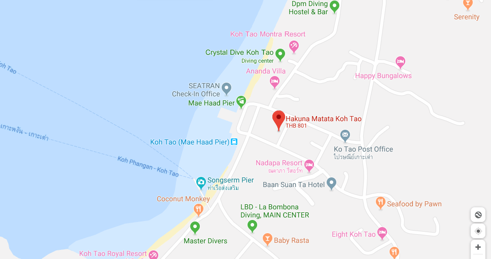 Hakuna Matata Hostel Koh Tao Location thefunkyturtle.com hakuna matata hostel koh tao location