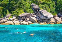 Experience Snorkeling at the Best Bays of Koh Tao