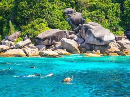 Experience Snorkeling at the Best Bays of Koh Tao