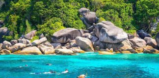 Experience Snorkeling at the Best Bays of Koh Tao