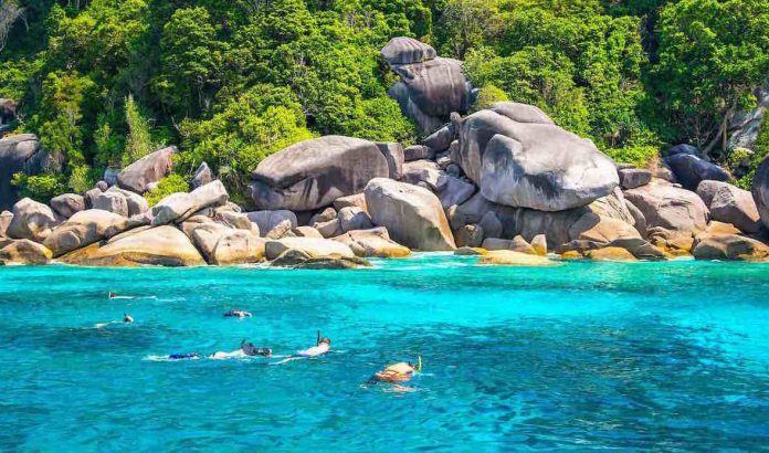 Experience Snorkeling at the Best Bays of Koh Tao