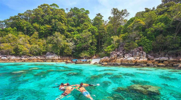 Snorkel Tours on Koh Tao