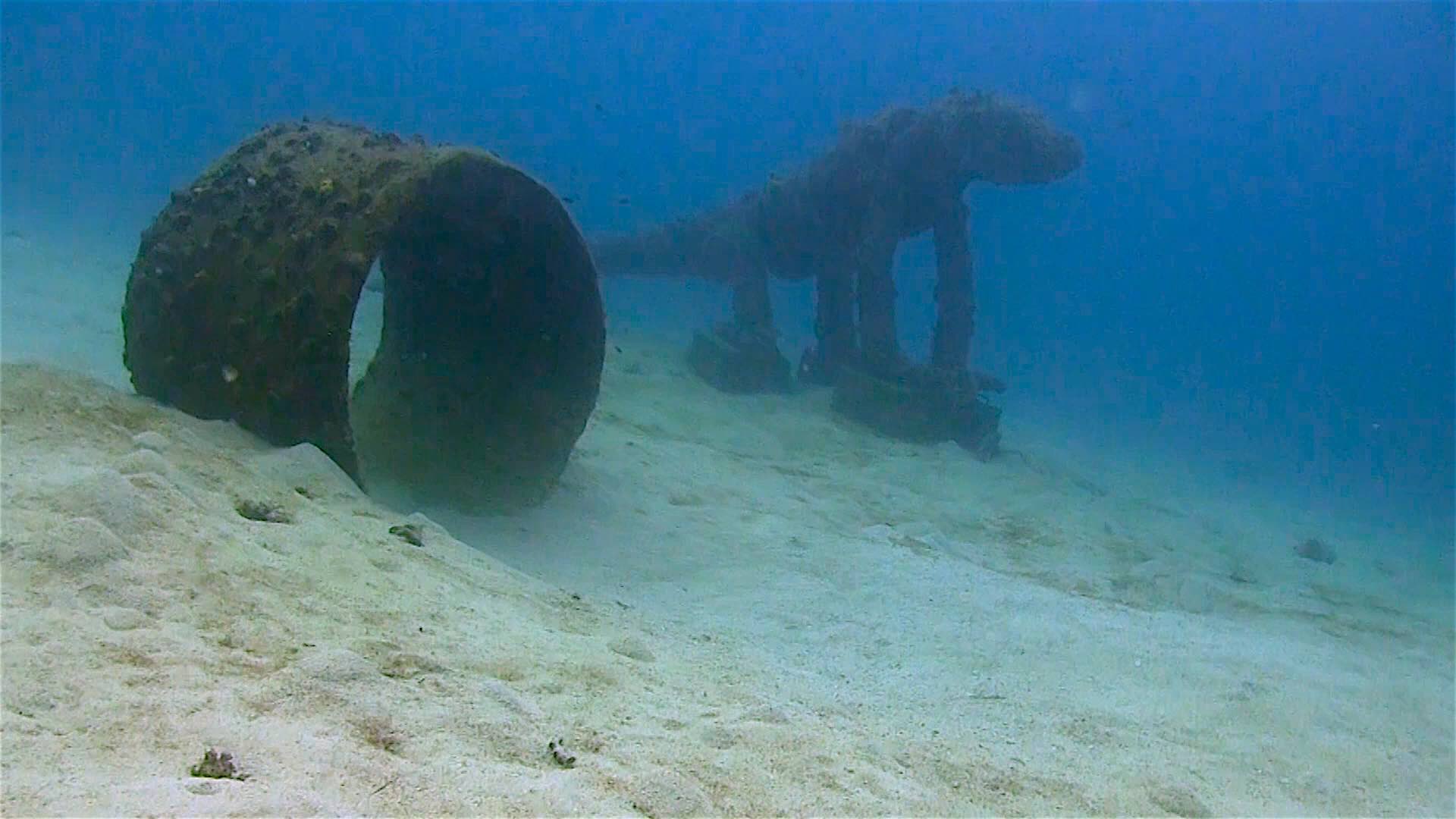 www.thefunkyturtle.com Buoyancy world dive site koh tao underwater