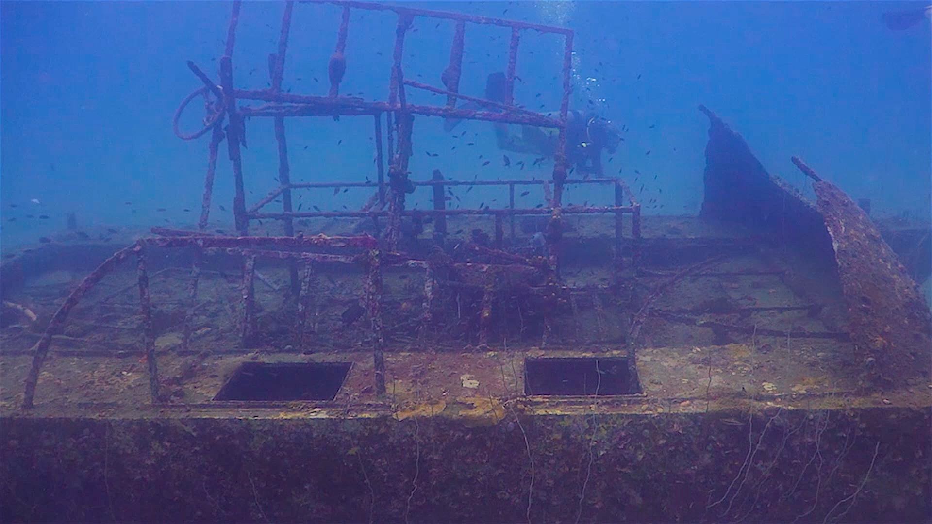 www.thefunkyturtle.com Tanote Bay dive site koh tao sunken catamaran