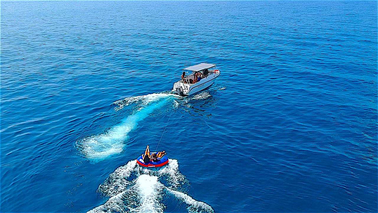 www.thefunkyturtle.com activities on koh tao