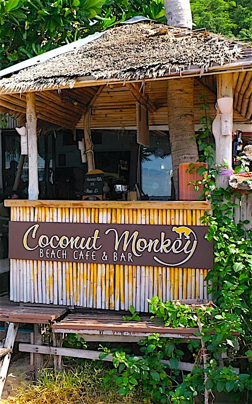 Coconut Monkey Koh Tao