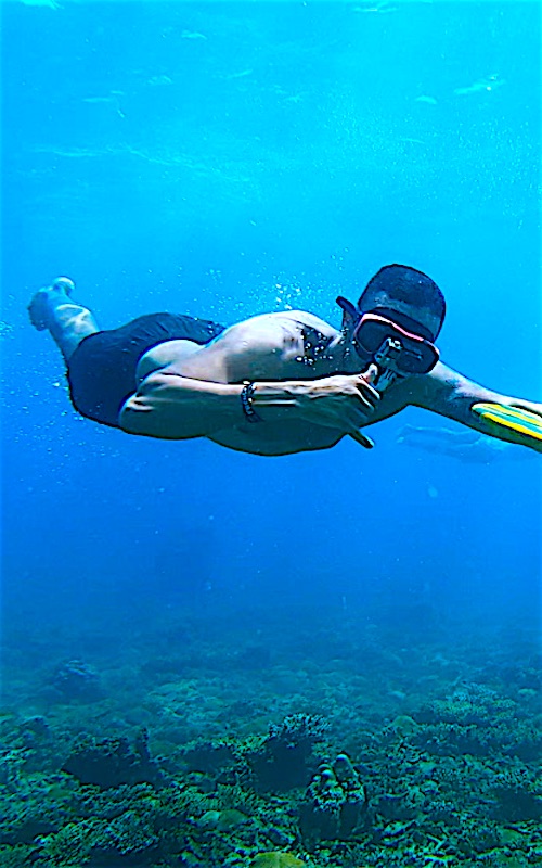 www.thefunkyturtle.com divewing activities on koh tao