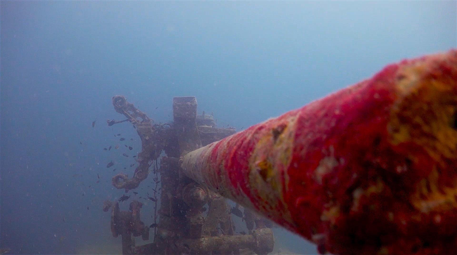 www.thefunkyturtle.com htms sattakut dive koh tao