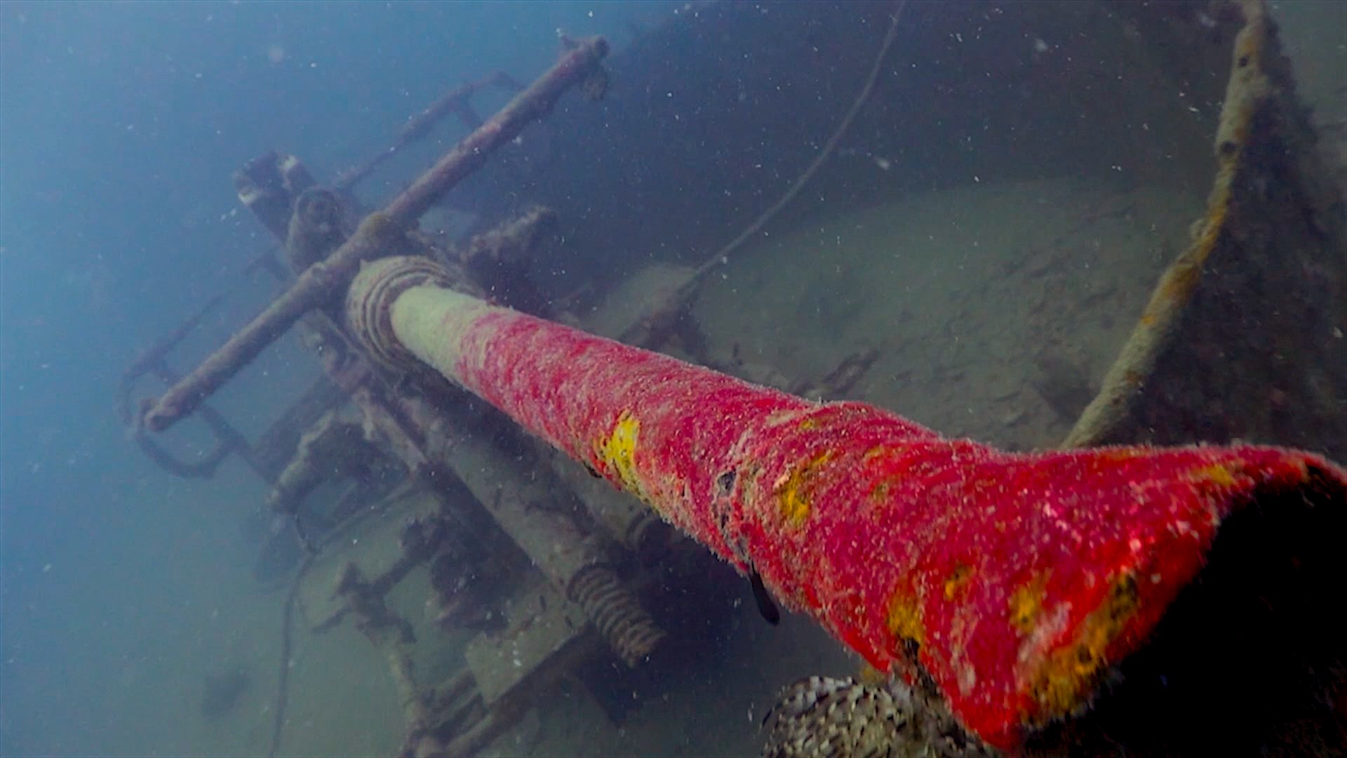 www.thefunkyturtle.com htms sattakut wreck dive koh tao gun boat