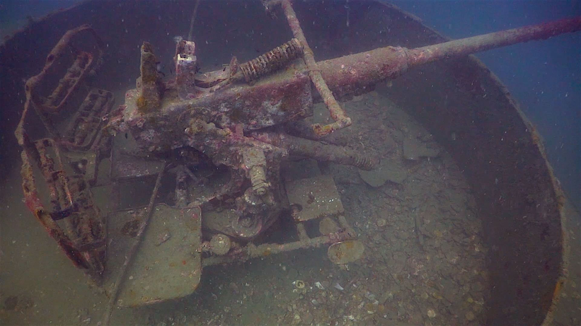 www.thefunkyturtle.com htms sattakut wreck dive koh tao stern gun