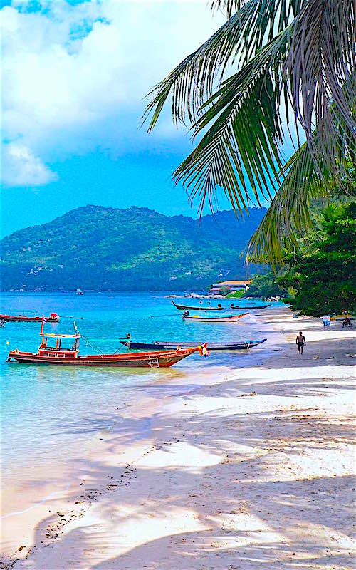 thefunkyturtle.com mae haad beach and bay koh tao thailand