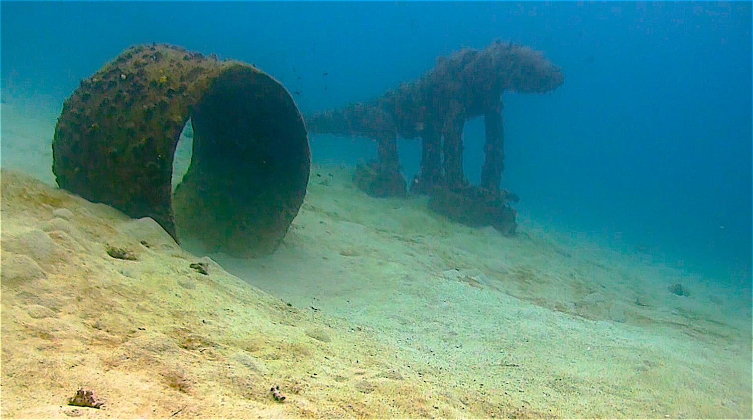 www.thefunkyturtle.com Buoyancy scuba diver training dive site koh tao