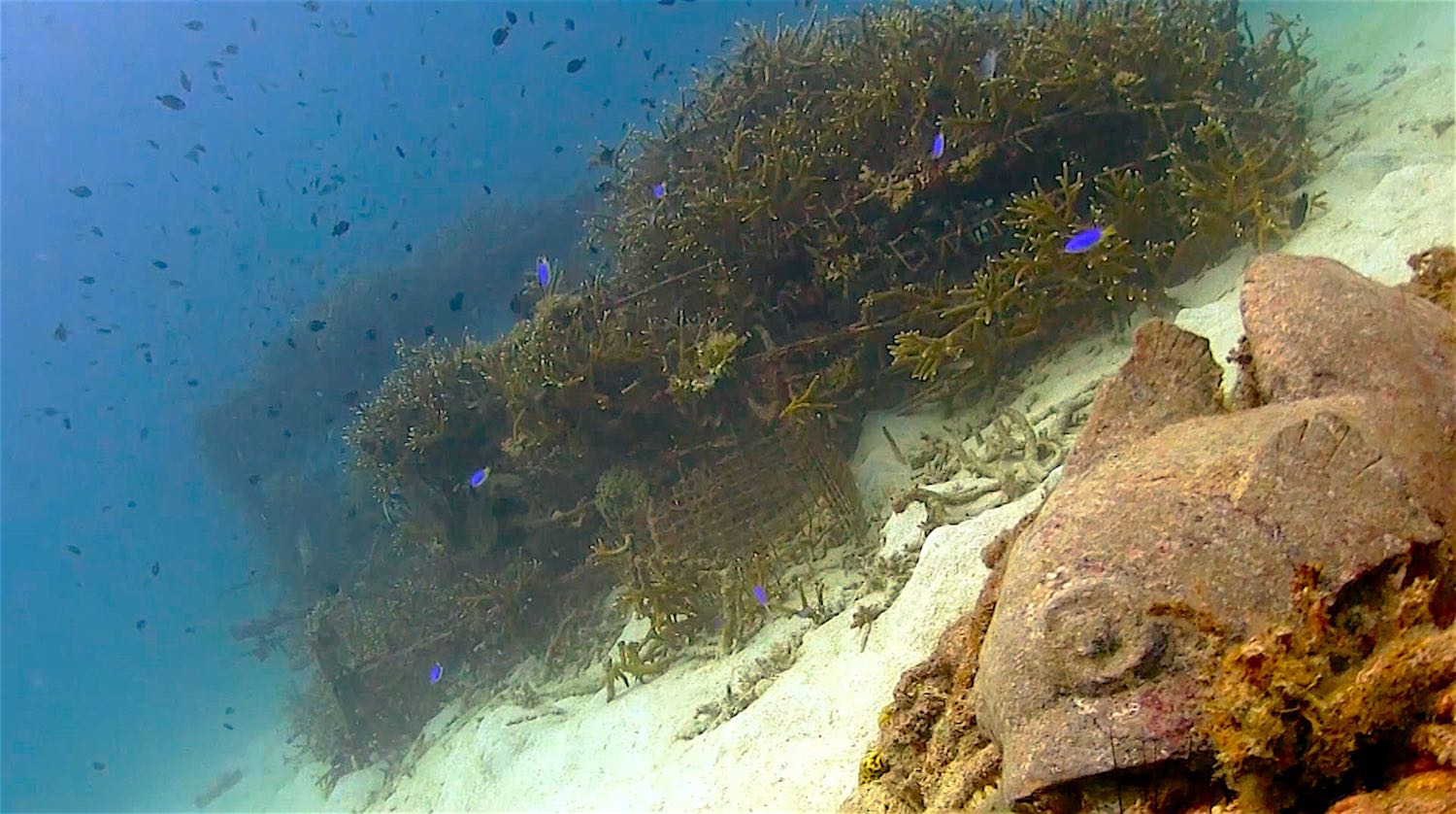 www.thefunkyturtle.com Buoyancy world project dive site koh tao