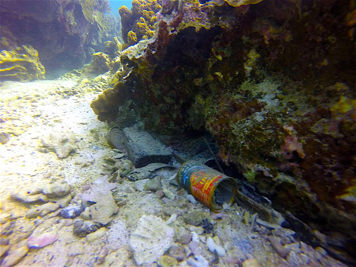 www.thefunkyturtle.com Dive-Against-Debris koh tao ocan collection