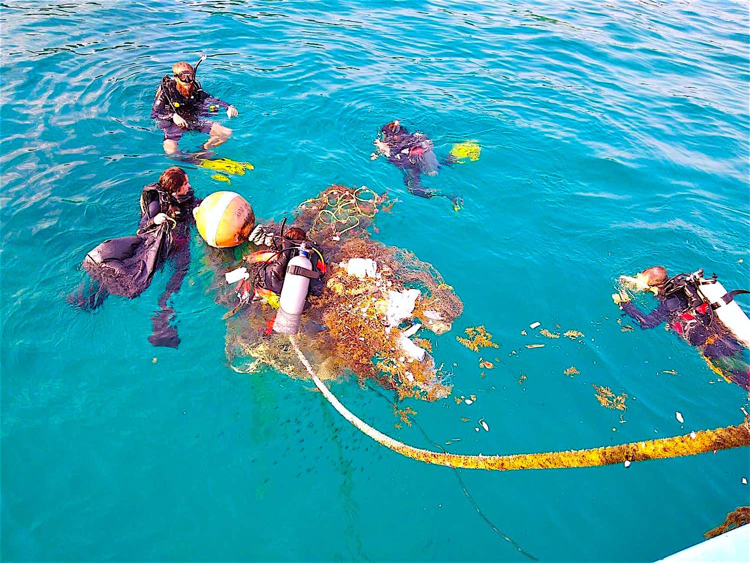 www.thefunkyturtle.com Dive-Against-Debris koh tao