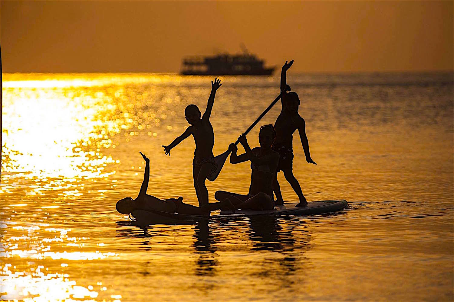 www.thefunkyturtle.com Paddleboarding koh tao