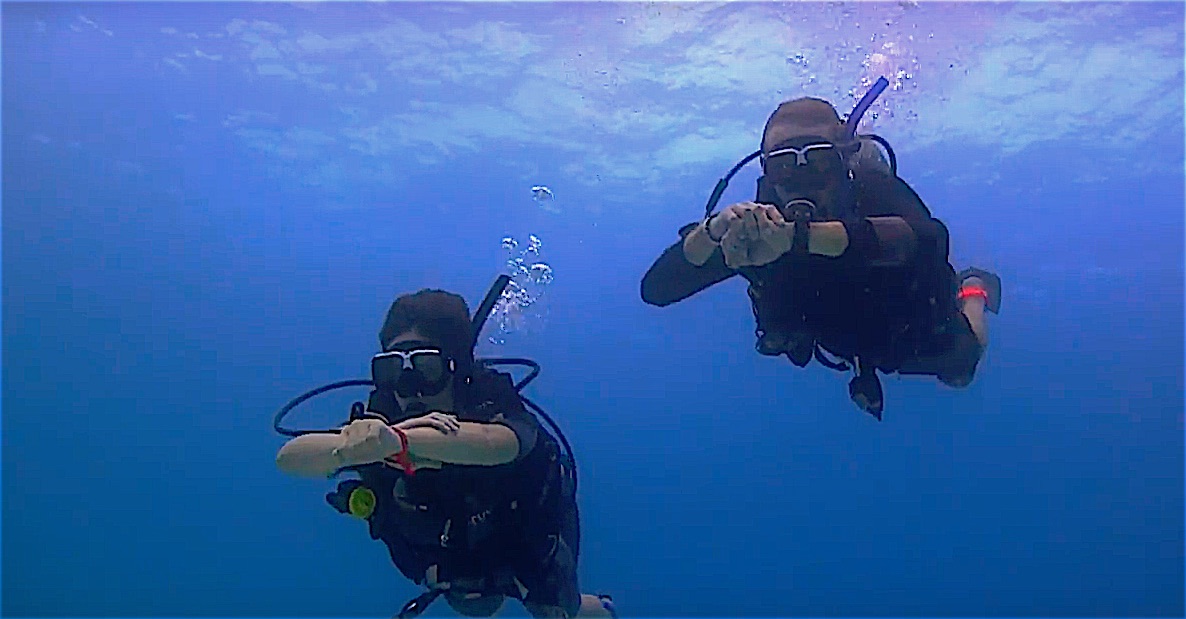 www.thefunkyturtle.com advanced diver training course koh tao