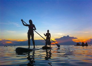 thefunkyturtle.com best Paddle Boarding koh tao