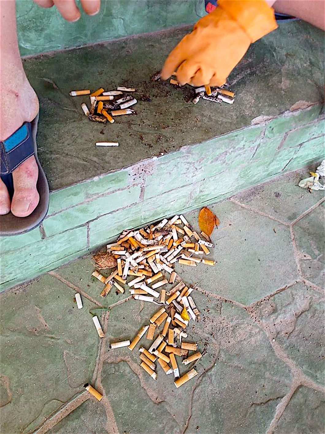 www.thefunkyturtle.com cigarette butt challenge koh tao