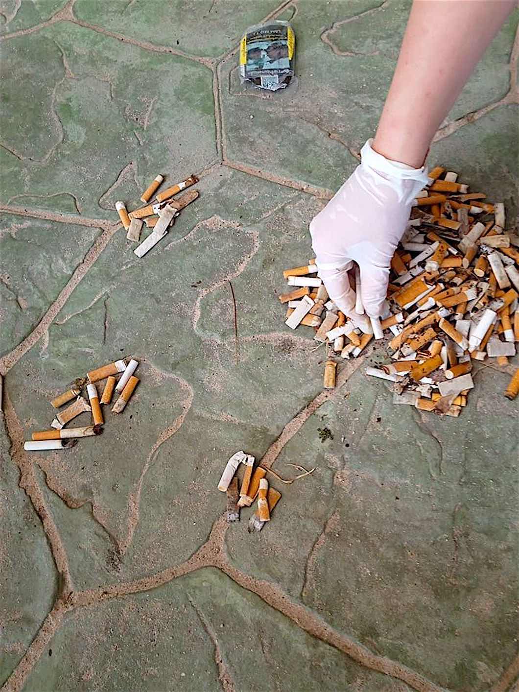 www.thefunkyturtle.com cigarette butt clean up koh tao