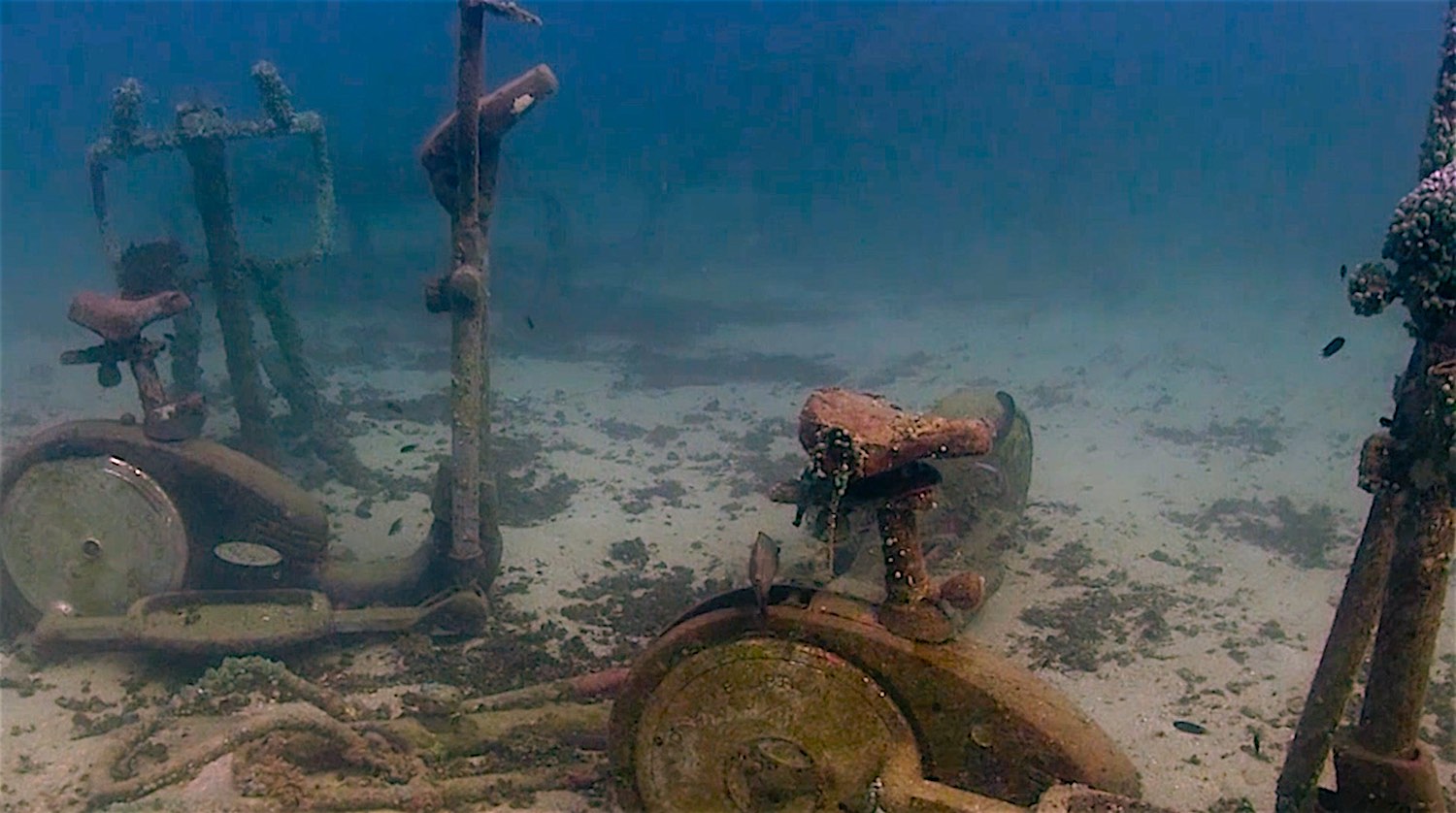 www.thefunkyturtle.com coral restoraton at junkyard reef koh tao