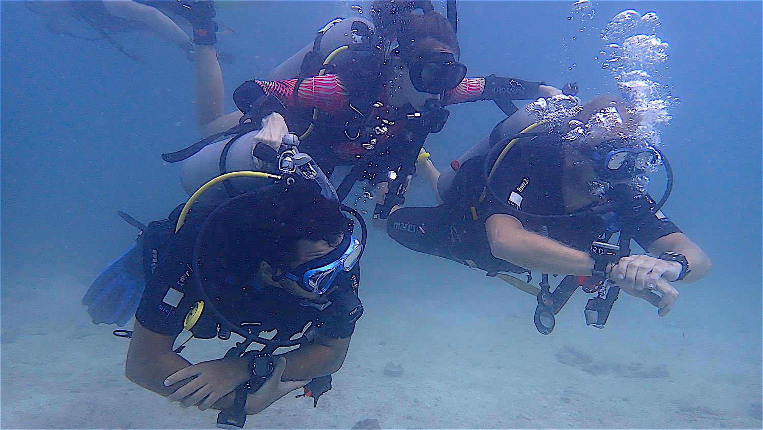 www.thefunkyturtle.com discover scuba diving for beginners