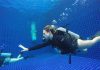 Divemaster Professional Course Koh Tao