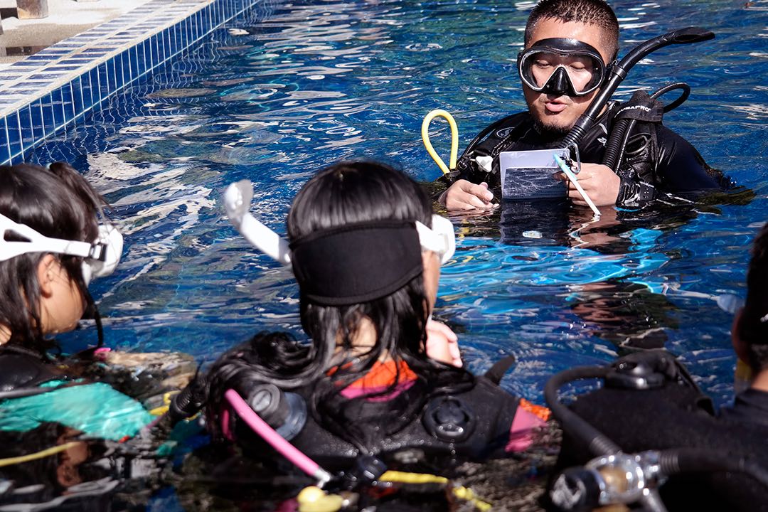 www.thefunkyturtle.com diving instructor course thailand