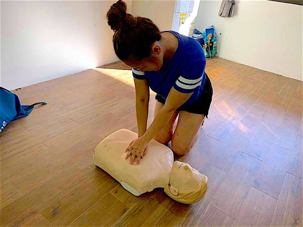 www.thefunkyturtle.com emergency first response courses cpr