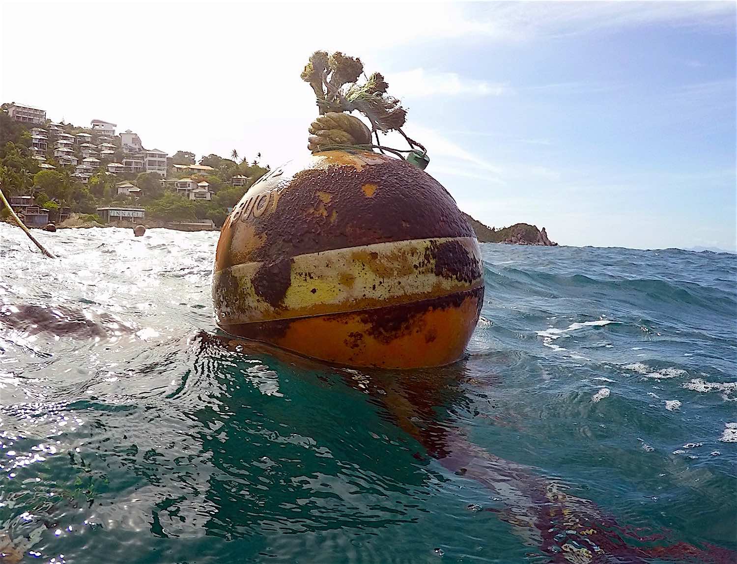 www.thefunkyturtle.com mooring buoy lines koh tao