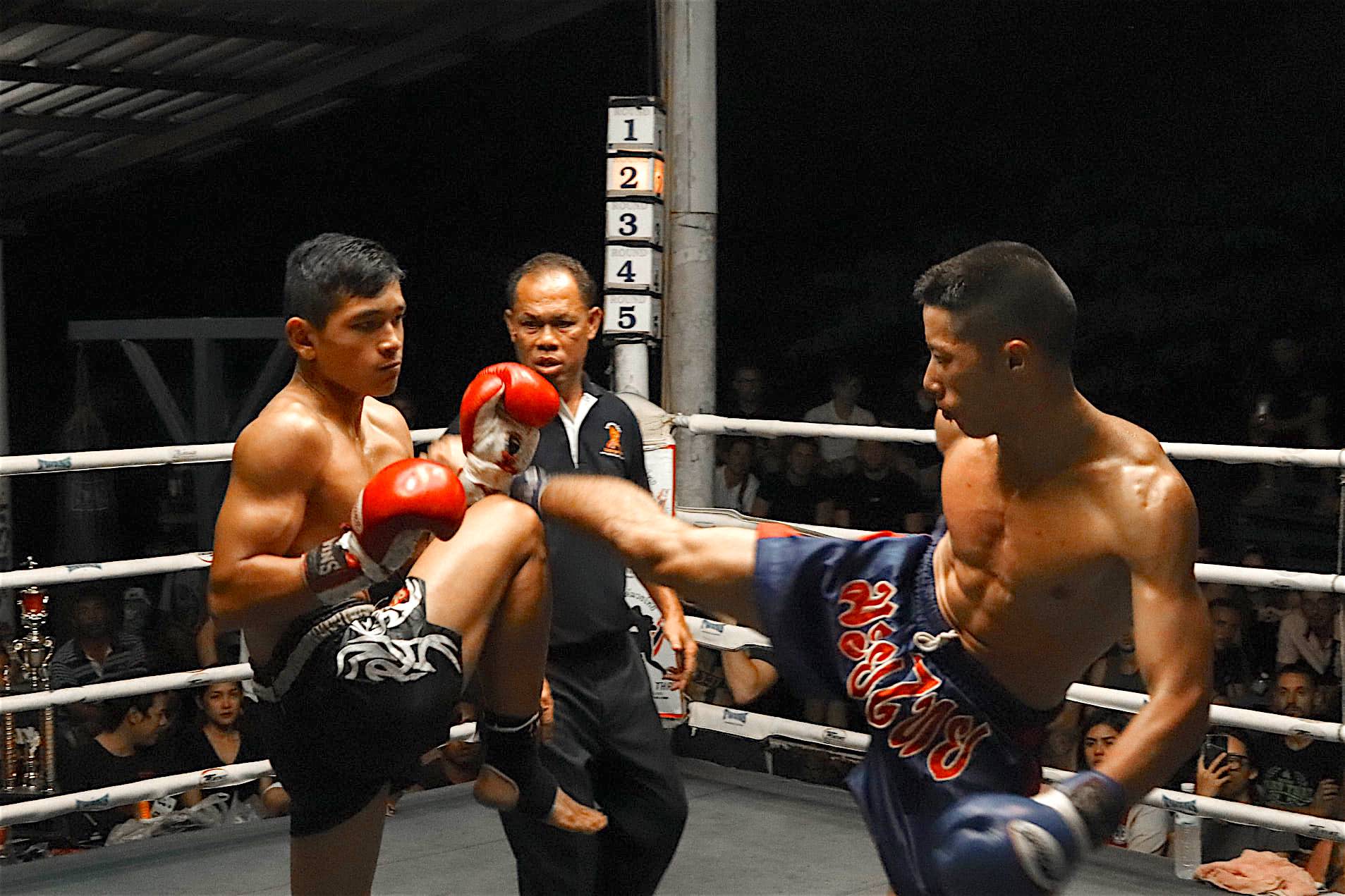 www.thefunkyturtle.com muay thai koh tao fight night