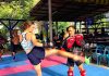 thefunkyturtle.com muay thai koh tao thailand