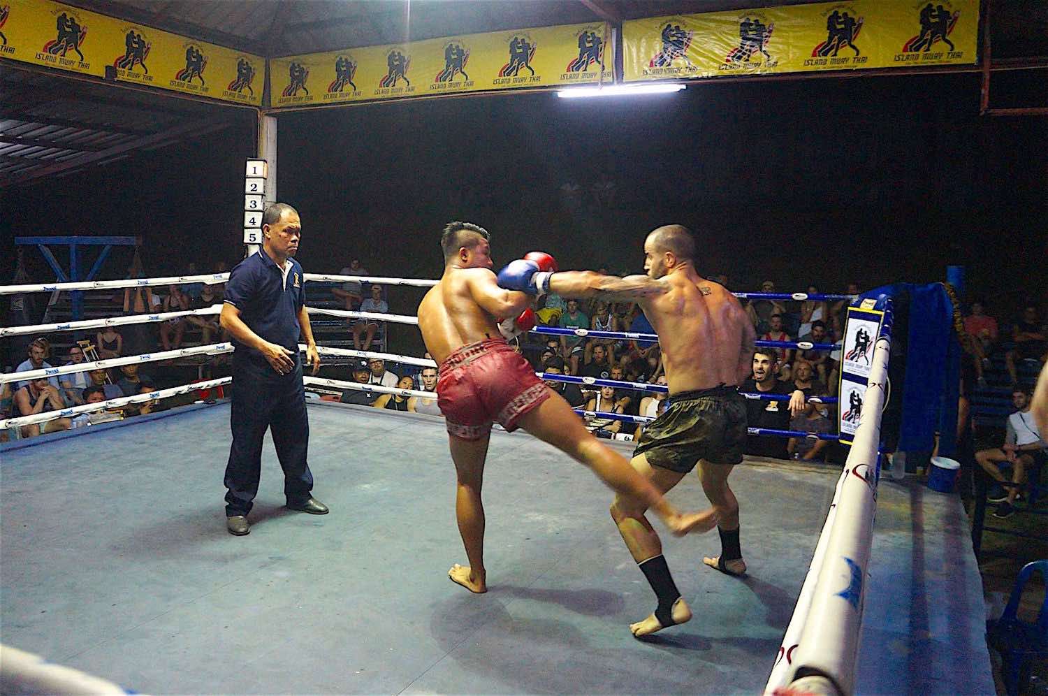 www.thefunkyturtle.com muay thai koh tao