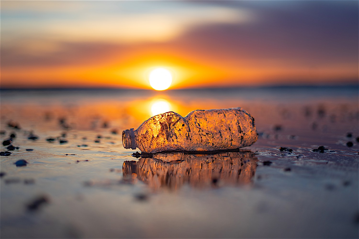 www.thefunkyturtle.com-plastic-waste-conservation-on-koh-tao