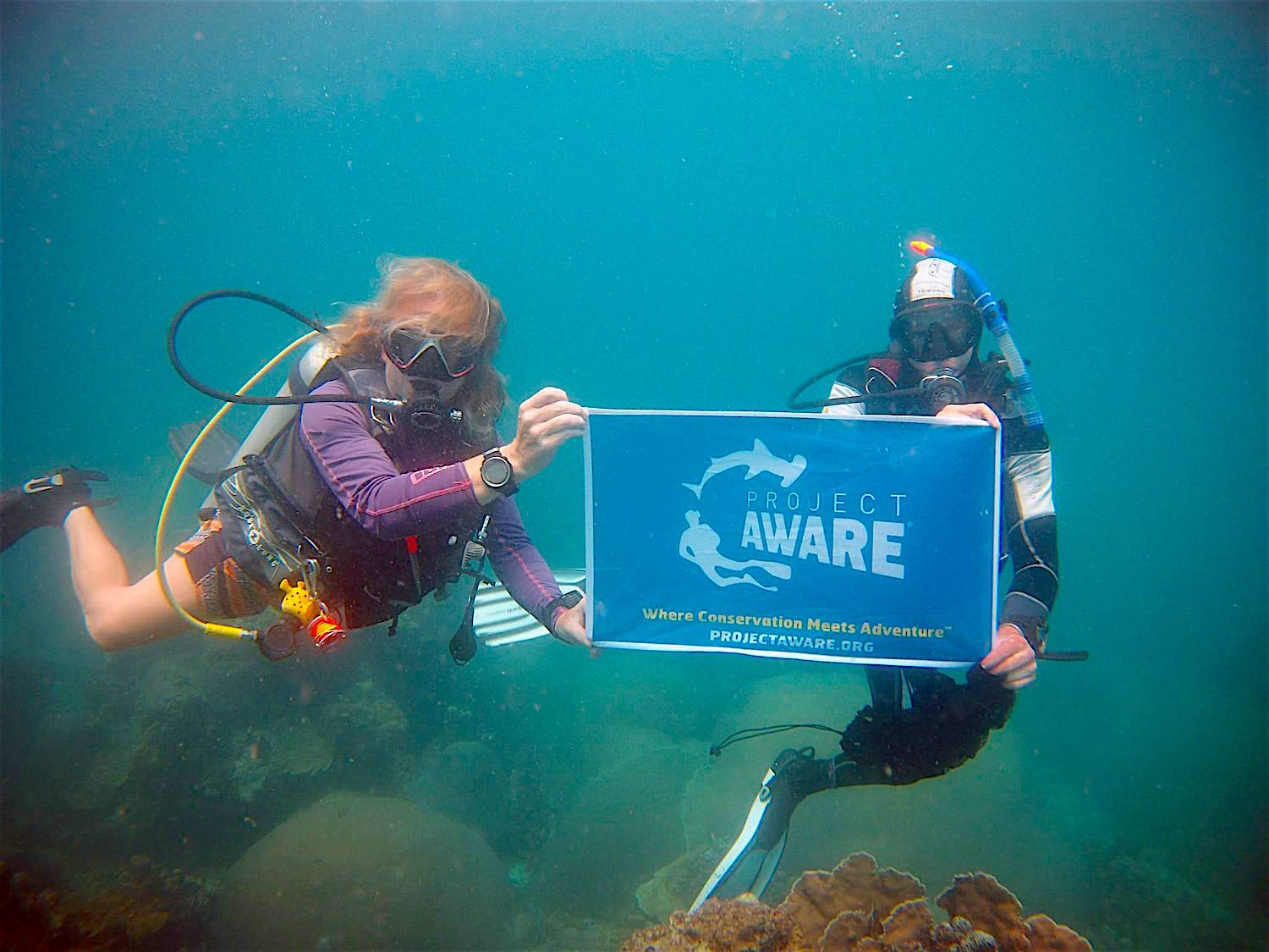 www.thefunkyturtle.com project aware on koh tao