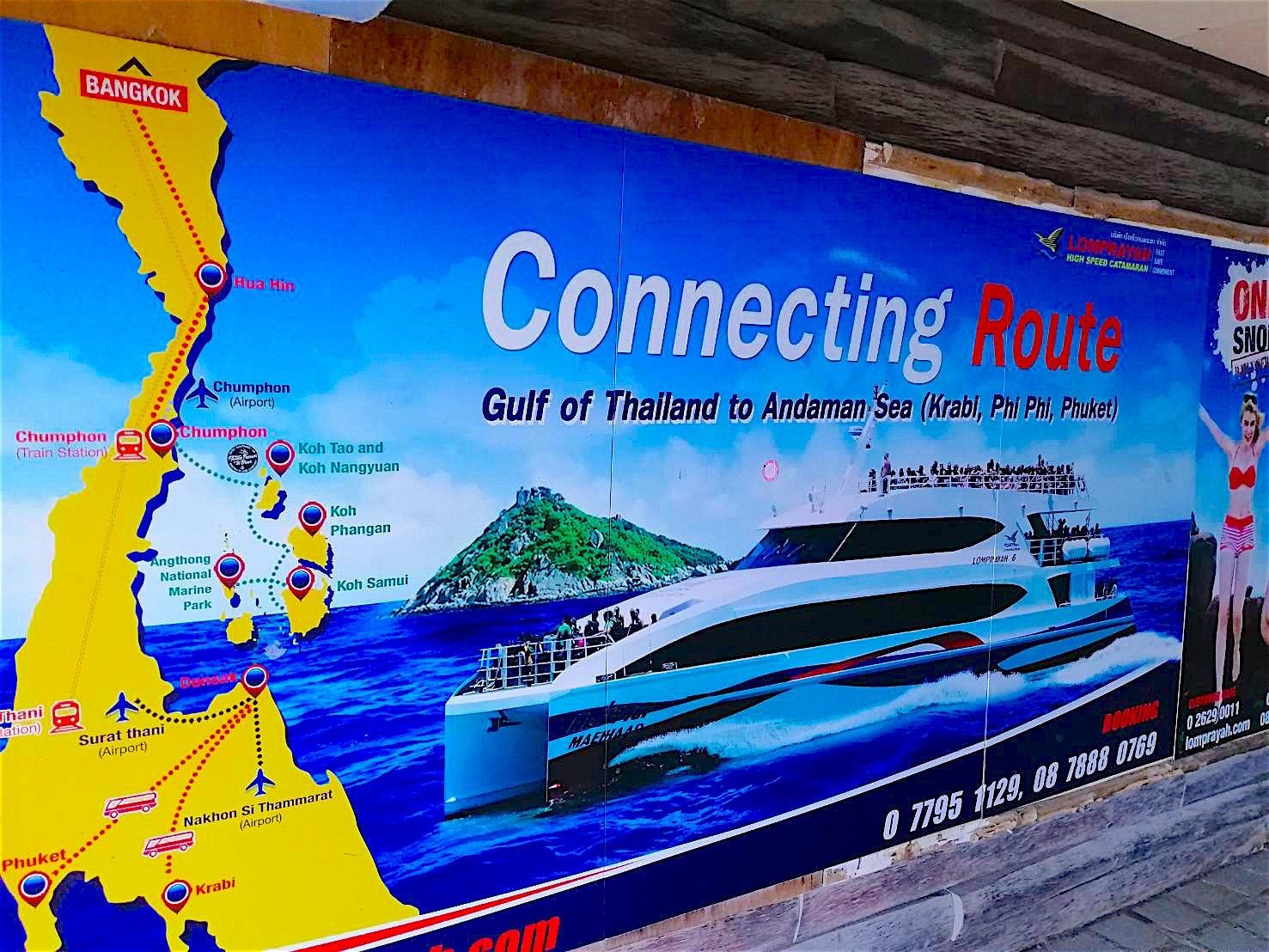 www.thefunkyturtle.com routes to koh tao lomprayah