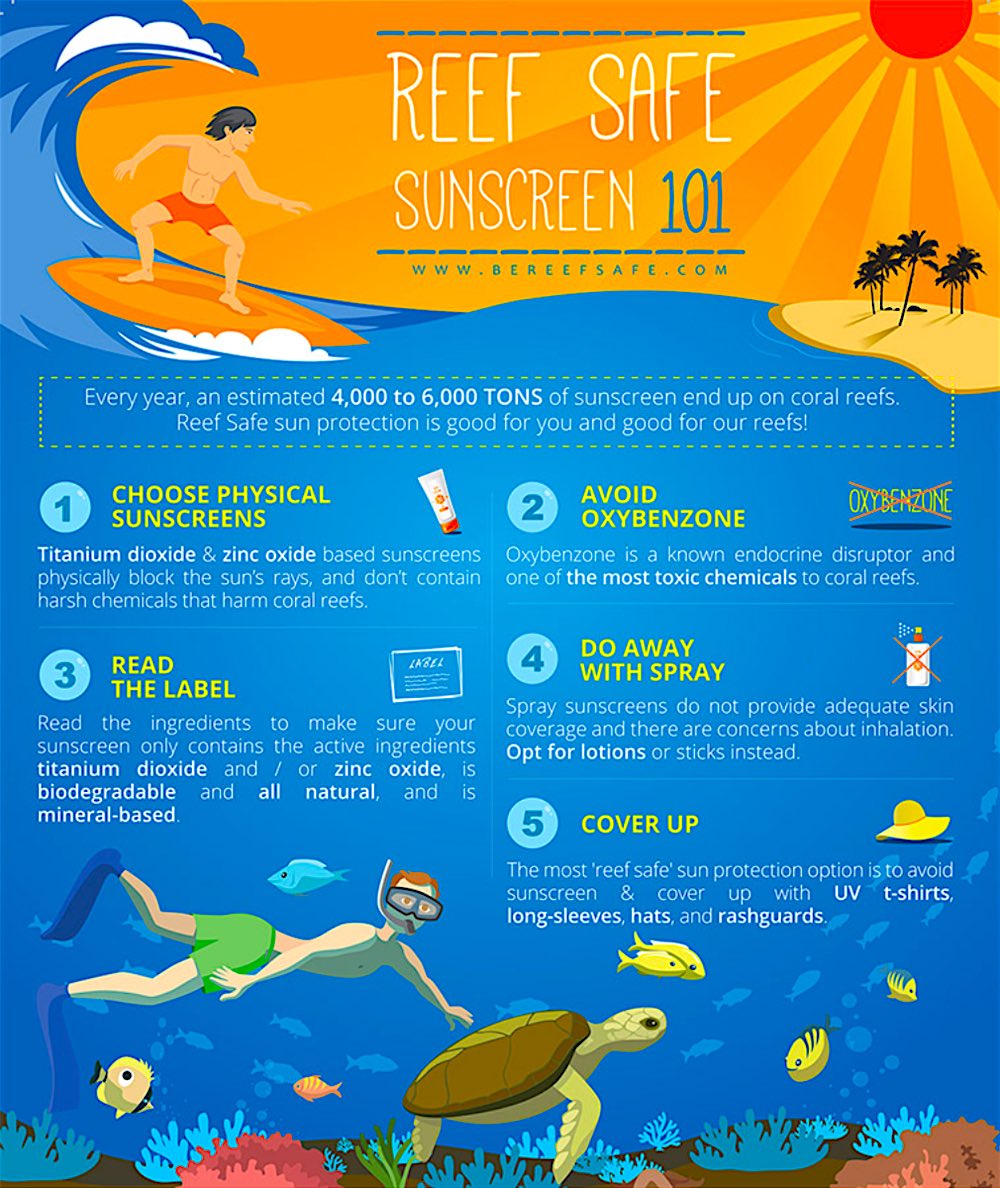 www.thefunkyturtle.com safe suncreen coral reef chart